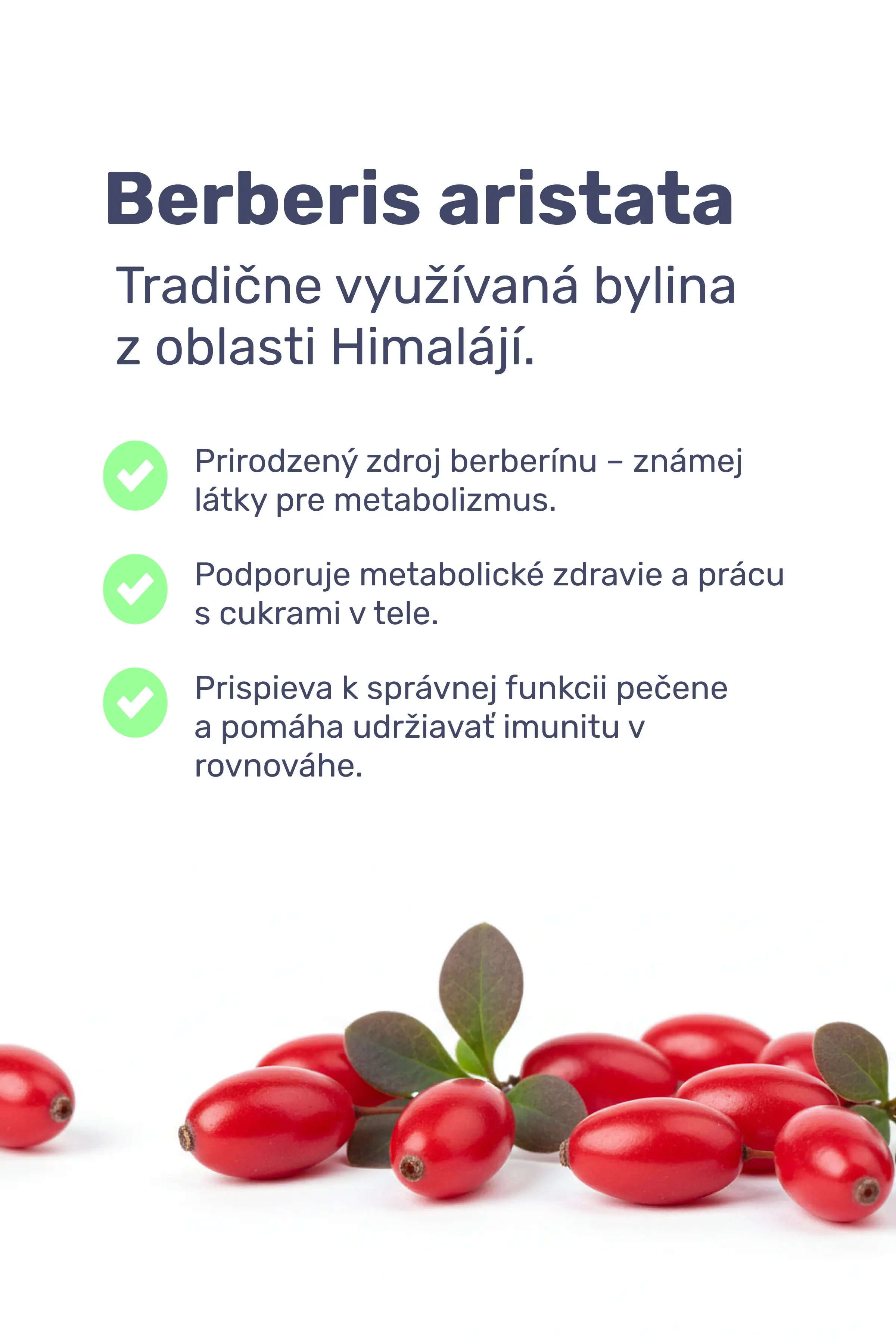 sxvPY6WB25ZxP5JRI8znvEZCUFrGxr-metaVGVzdG9yZW5fMyAoMikucG5n-
