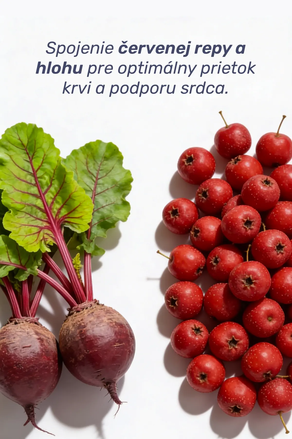 ivz96UKvE3S7g9LhjGW0ZyWRz7EPSs-metaRnJhbWUgODMyNTAucG5n-