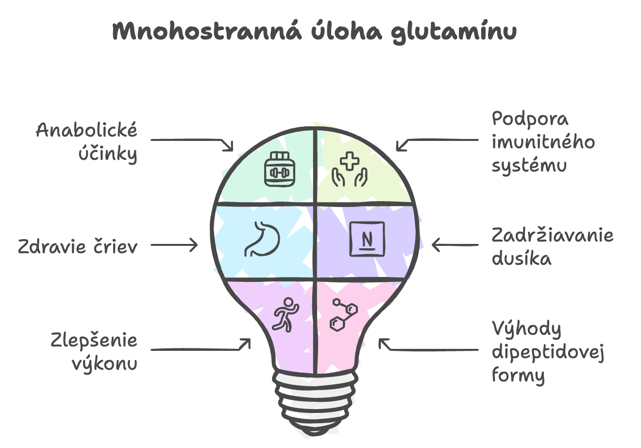 Infografika účinky glutamínu