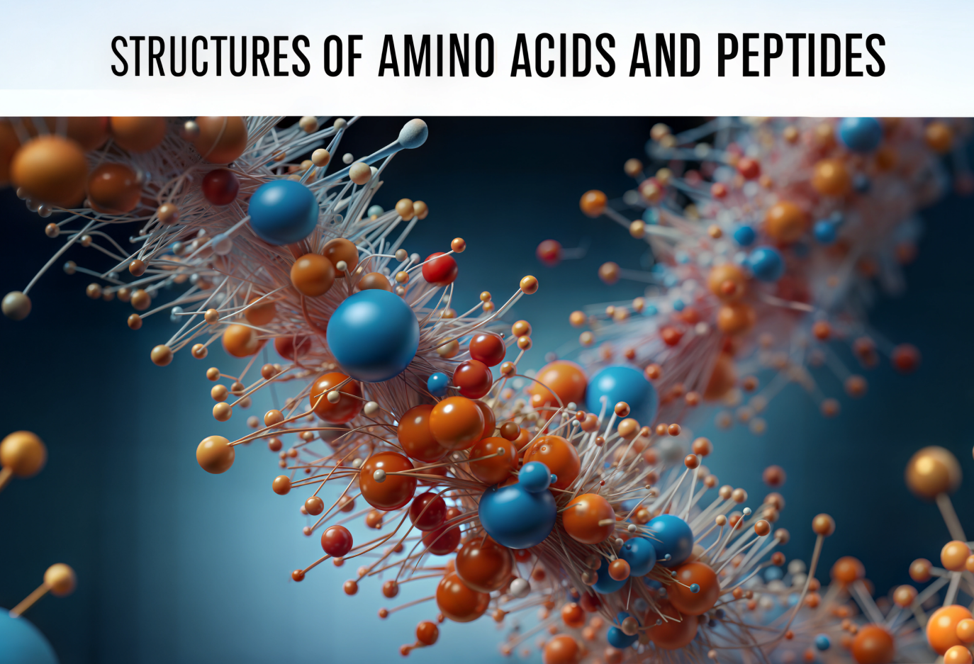Štruktúry aminokyselín a peptidov