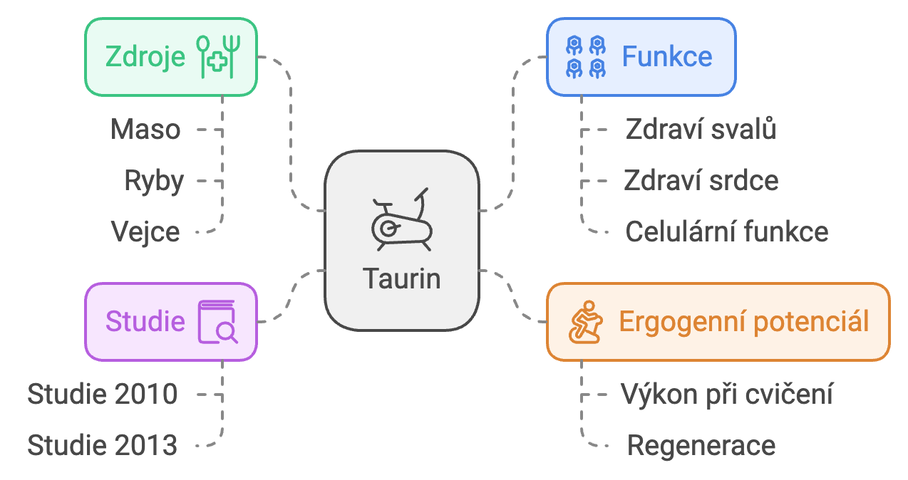 Taurin přehled