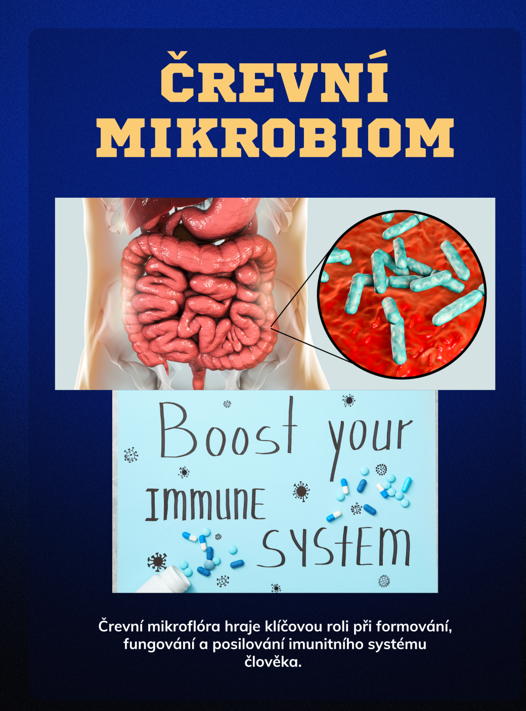 črevný mikrobom