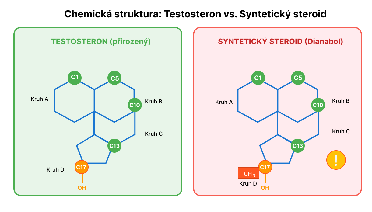 Porovnání chemické struktury přirozeného testosteronu a syntetického anabolického steroidu s přidanou methylovou skupinou na pozici C-17