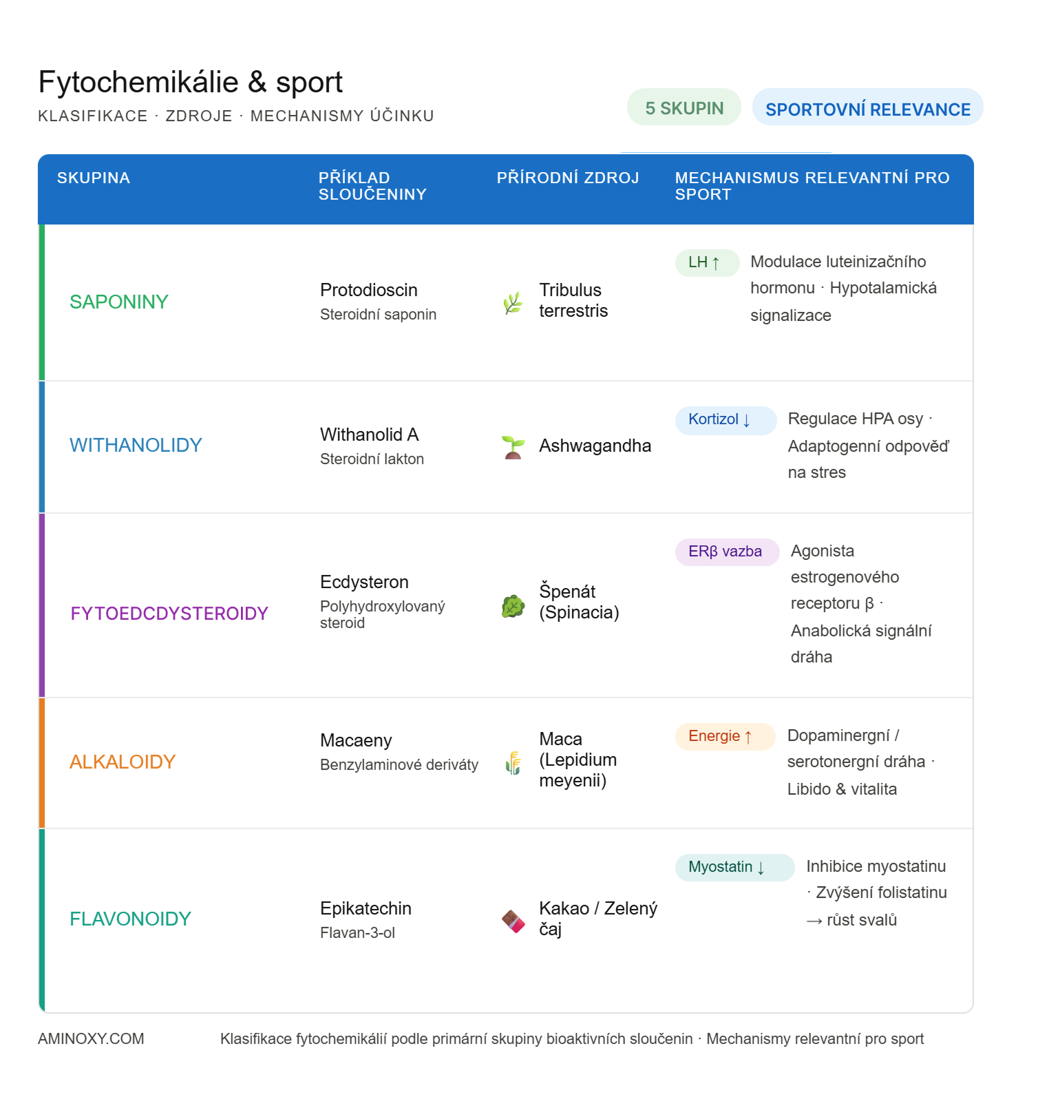 Klíčové skupiny fytochemikálií relevantních pro sport a hormonální zdraví