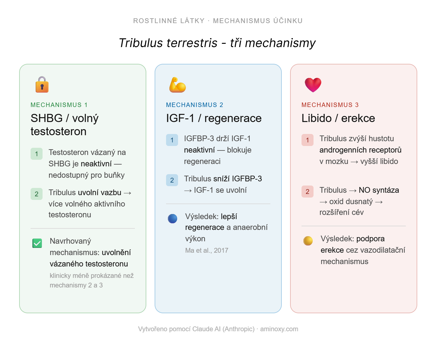 mechanismy účinků Tribulus terrestris