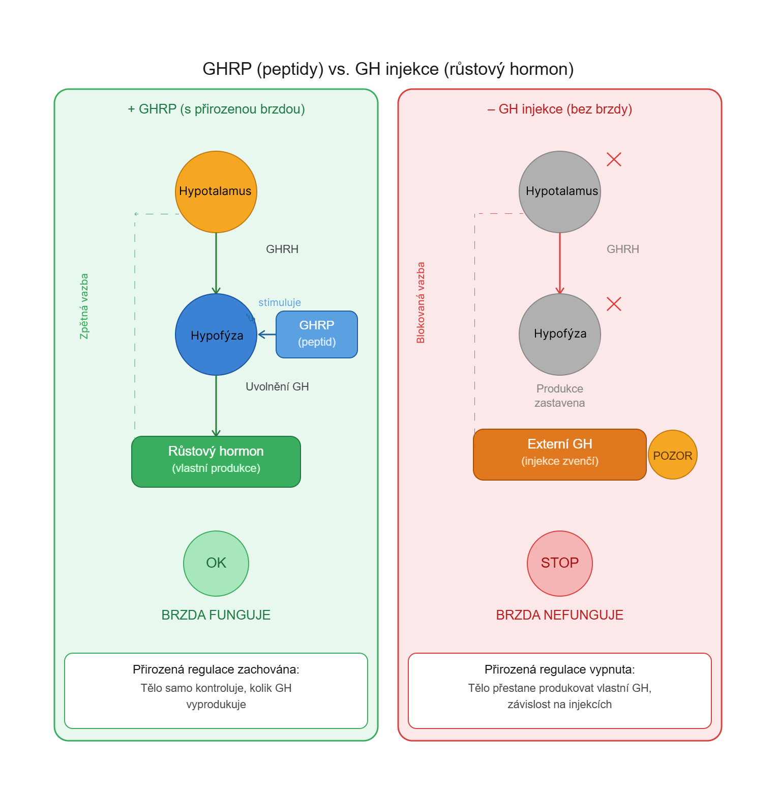 GhRP vs Gh injekce.png