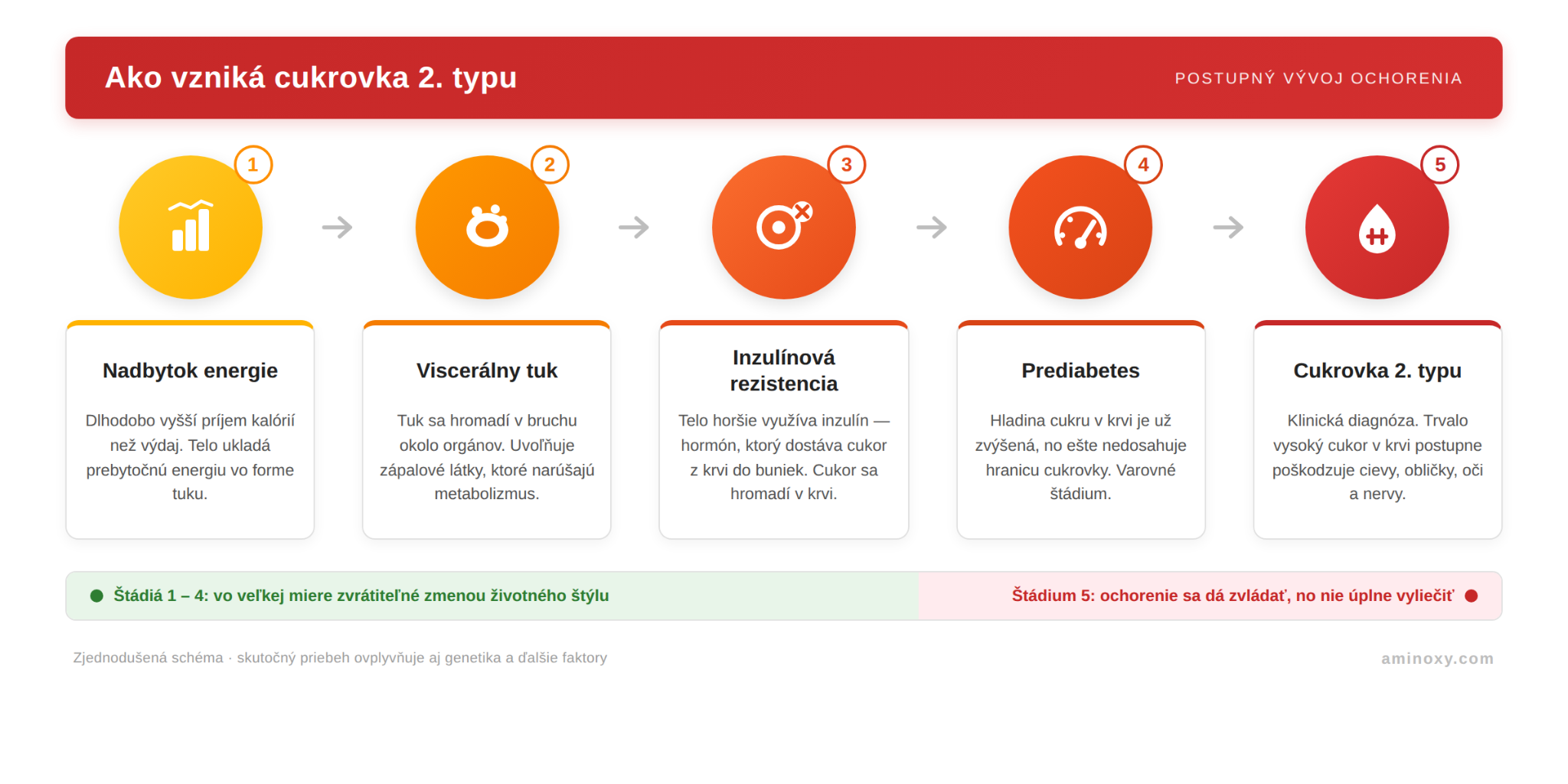 Obr. ako-vznika-cukrovka-2-typu-schema.png