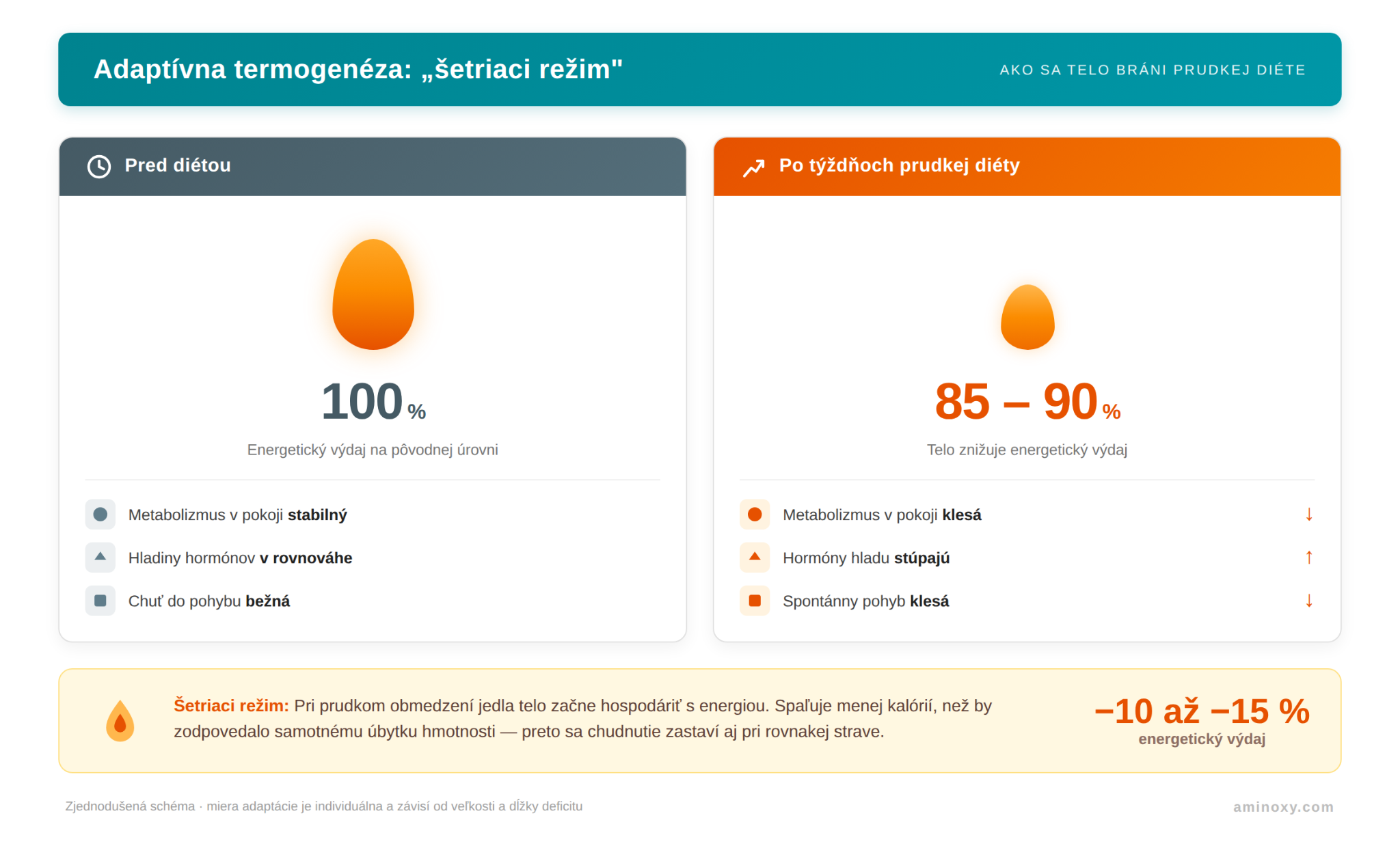 Schéma adaptívnej termogenézy — ako telo pri prudkej diéte znižuje energetický výdaj