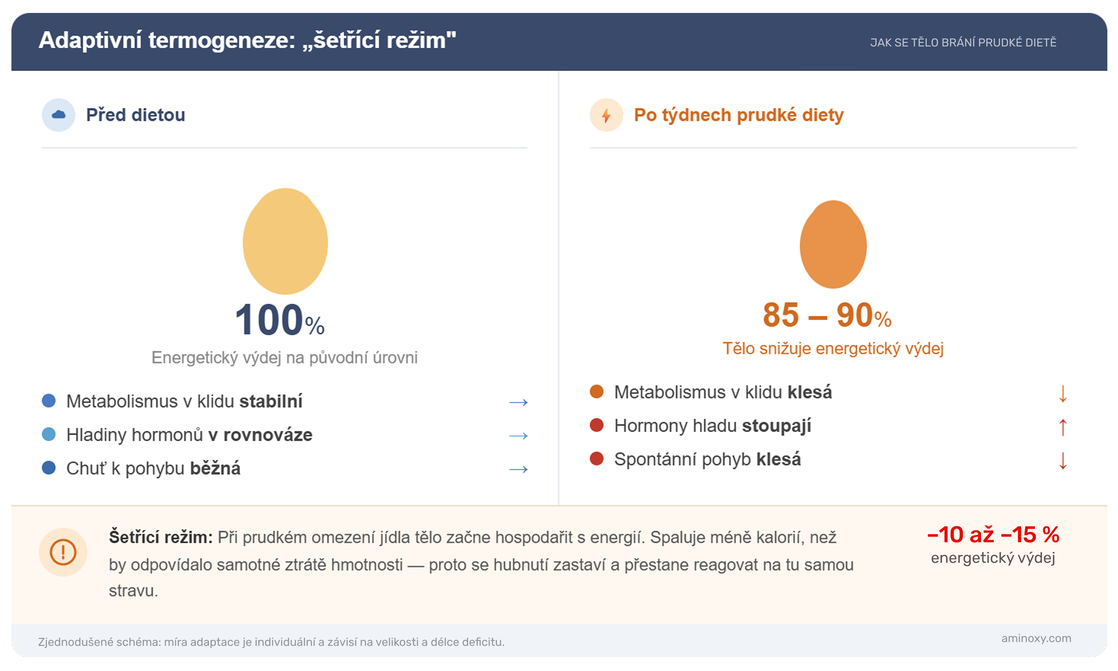 Schéma adaptívnej termogenézy — ako telo pri prudkej diéte znižuje energetický výdaj