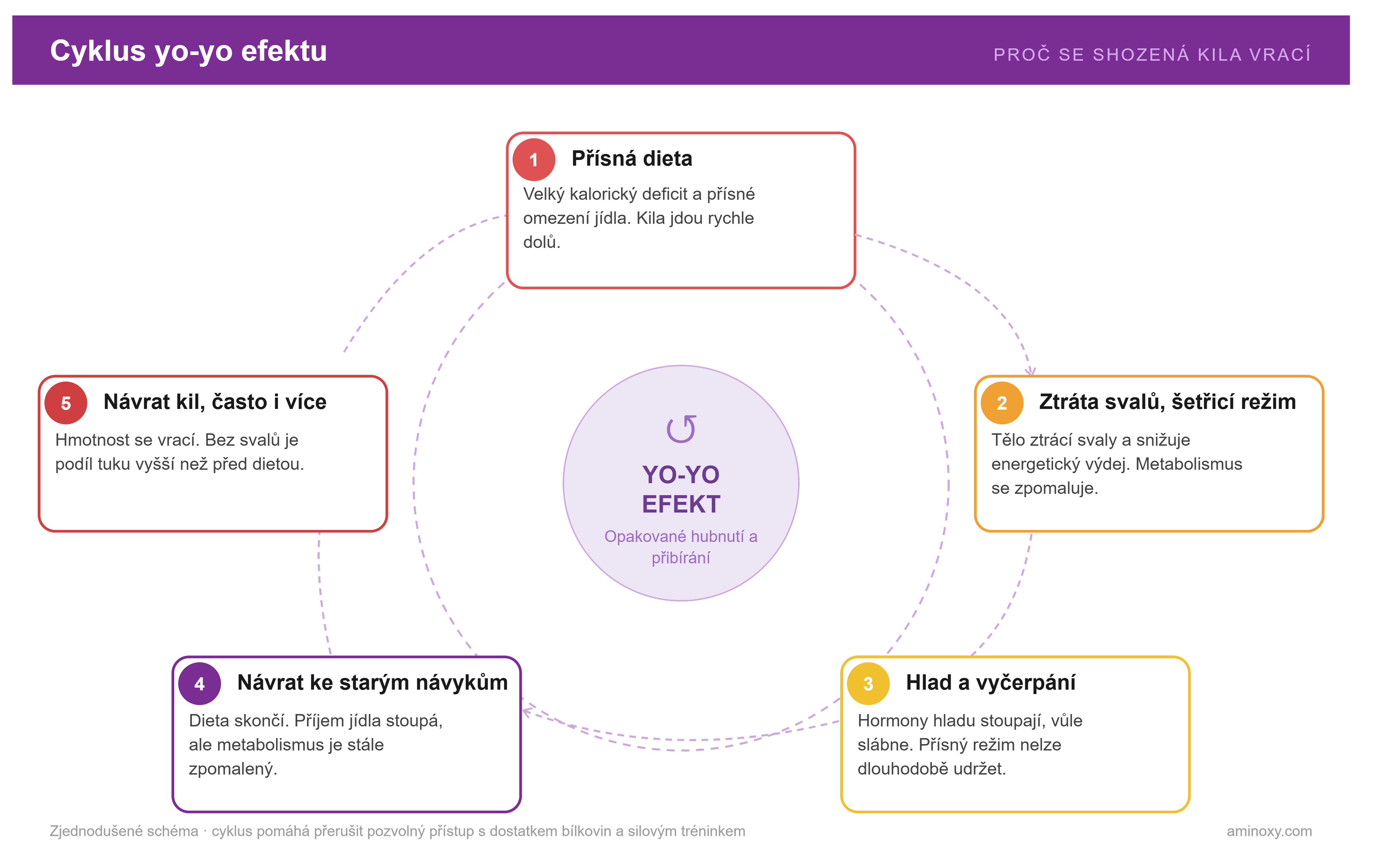 Pětikrokový cyklus jo-jo efektu — od prudké diety přes zpomalený metabolismus až po návrat kil.