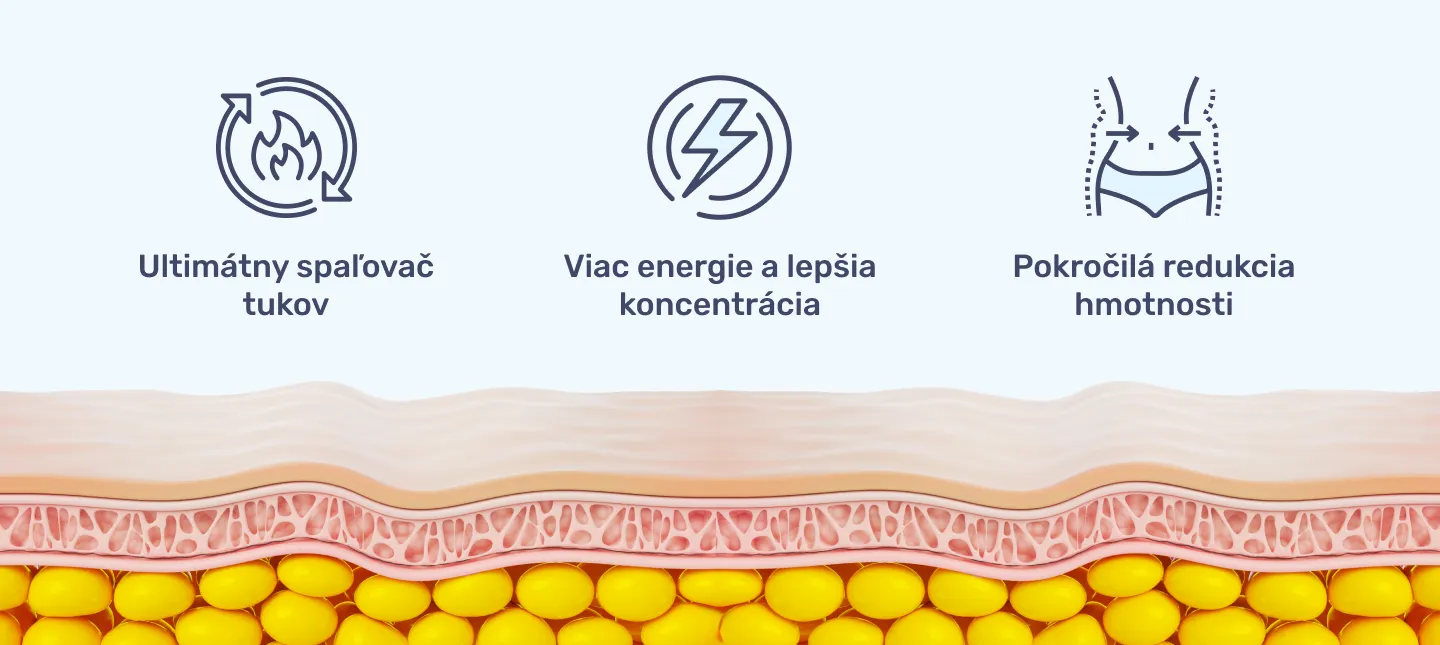 86oentyhnSnjwX1mKKGWq4R9upBOFj-metaIzEgLSBJbmZvZ3JhZmlrYSAtIEFkaXBva2lsbCAtIHNwYWxvdmFjIHR1a292IC0gYmVuZWZpdHkucG5n-