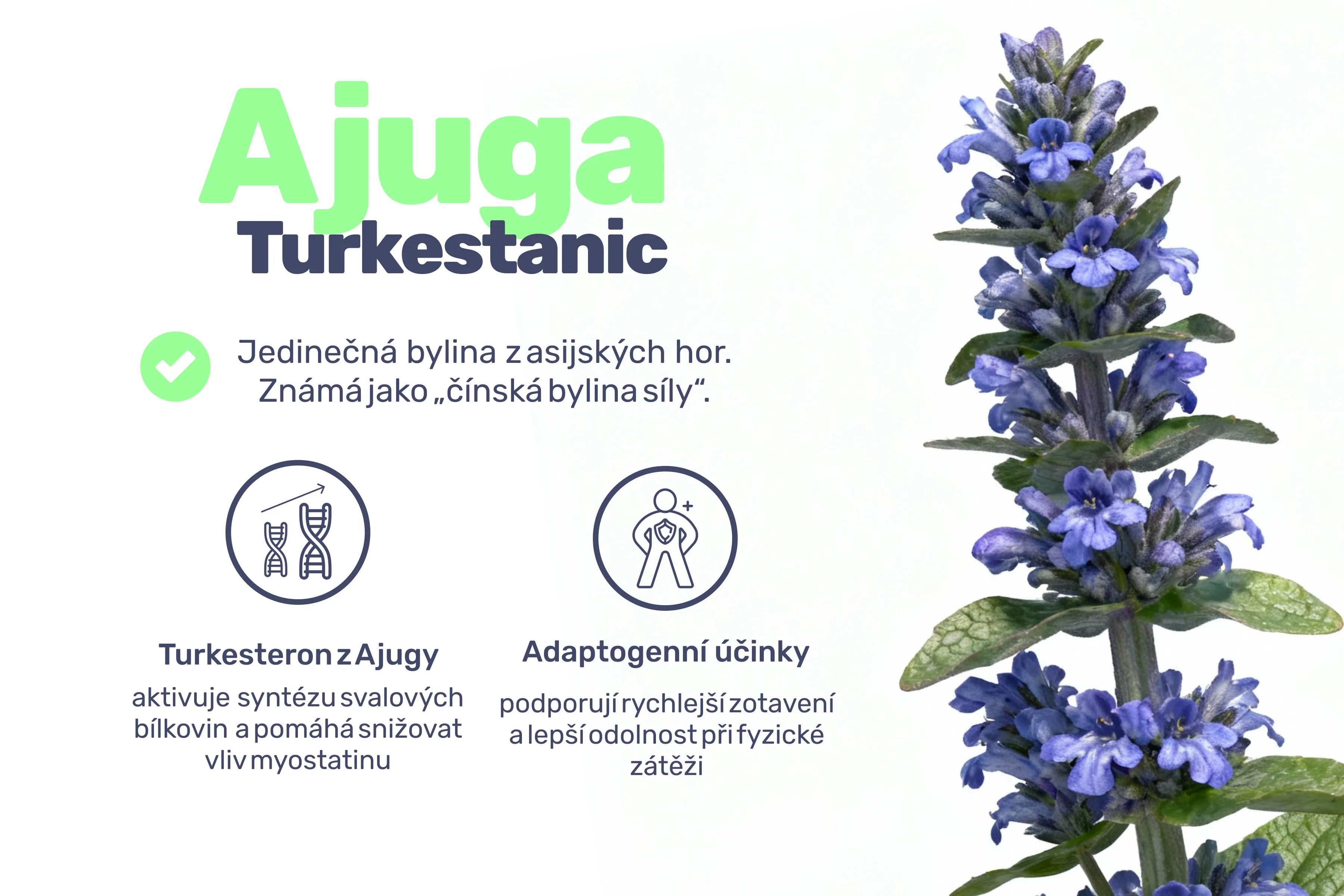 WITs8iiAzPY2PKg1xl9WW6qkI9vZnt-metaTVlPLVNUQUNLXzIgKDIpLnBuZw==-
